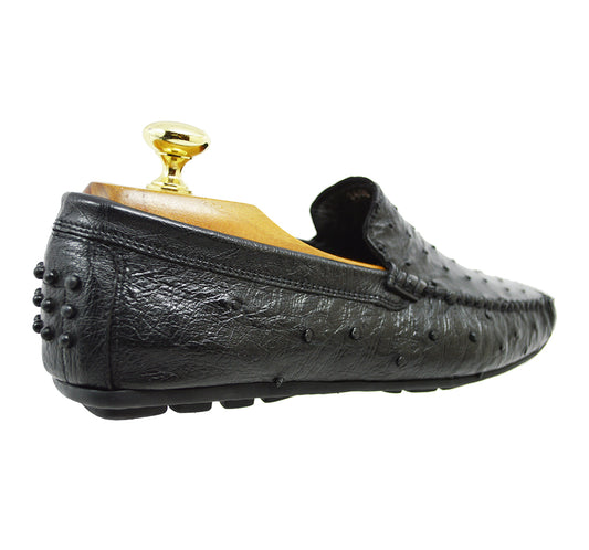 Toscana 2408 Ostrich Driver