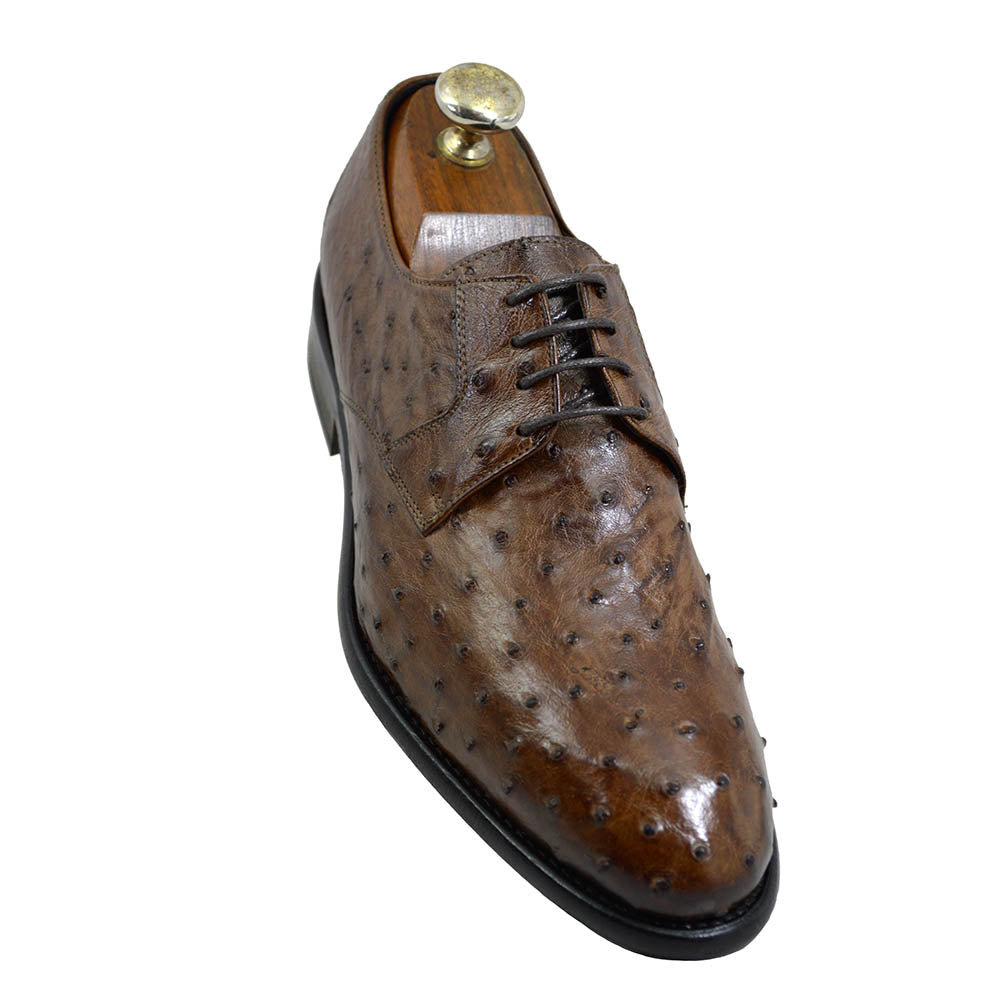 Toscana 3414 Ostrich Lace Up