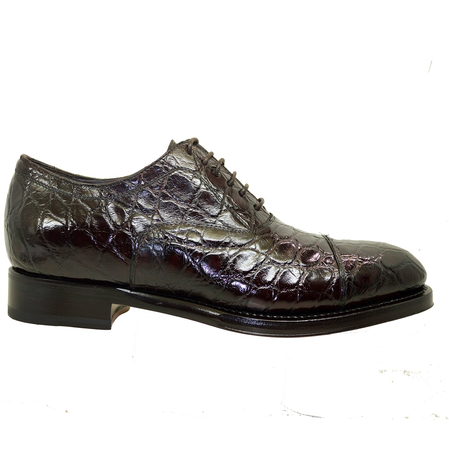 Caporicci 5950 Alligator Flanks Lace Up