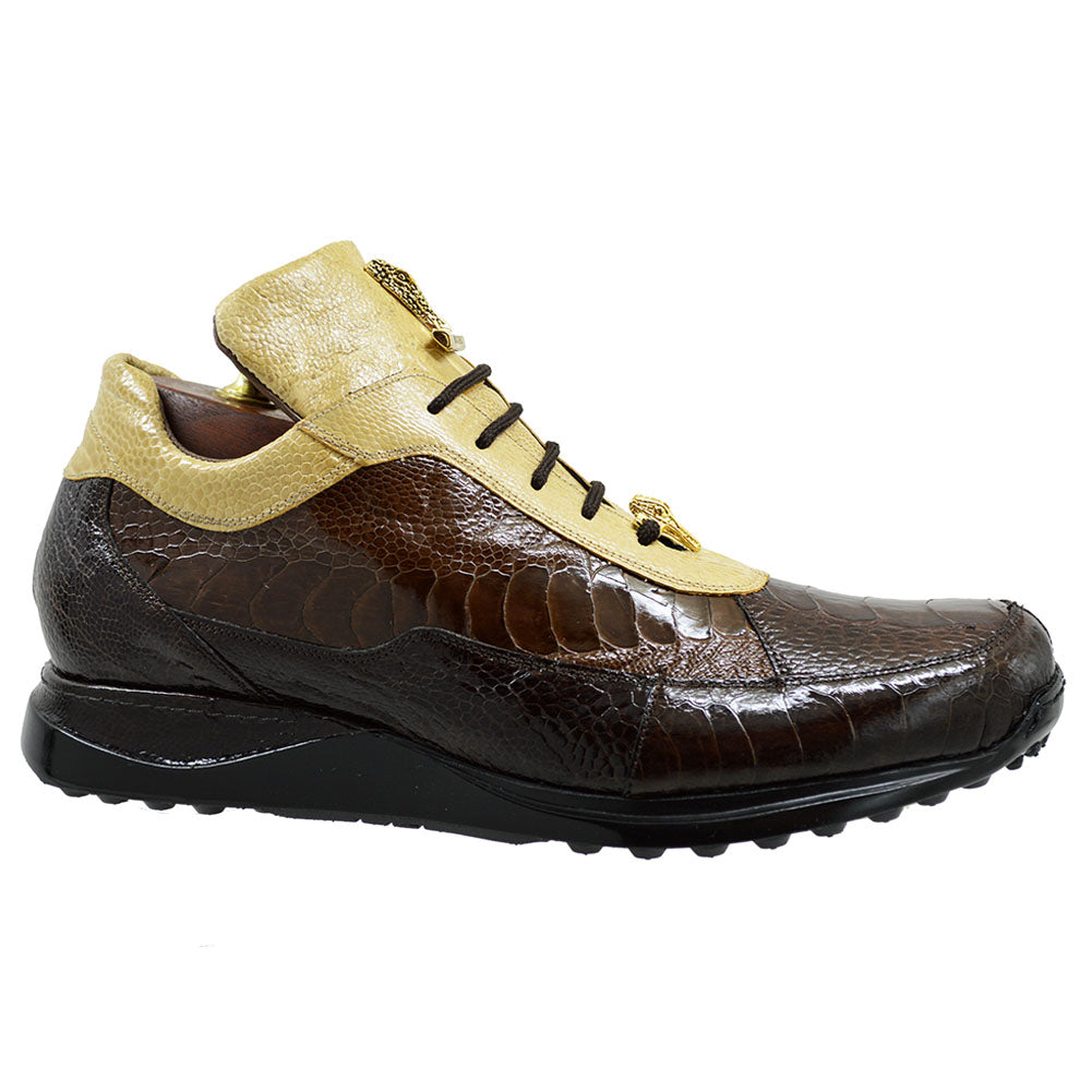 Mauri 8813 Tri Color Brown Alligator Sneakers - Last Pair 30% Off At Checkout - Cellini Uomo 