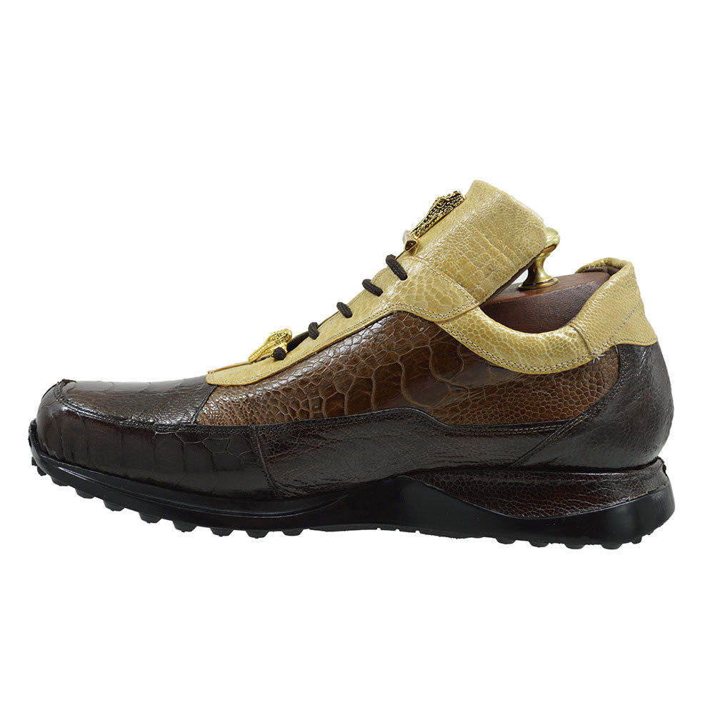 Mauri 8813 Tri Color Brown Alligator Sneakers - Last Pair 30% Off At Checkout