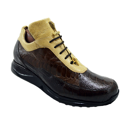 Mauri 8813 Tri Color Brown Alligator Sneakers - Last Pair 30% Off At Checkout