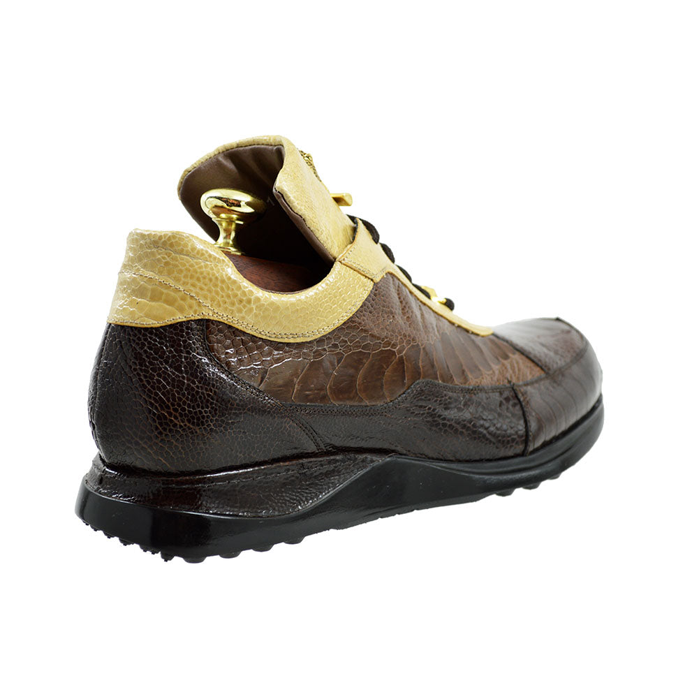 Mauri 8813 Tri Color Brown Alligator Sneakers - Last Pair 30% Off At Checkout