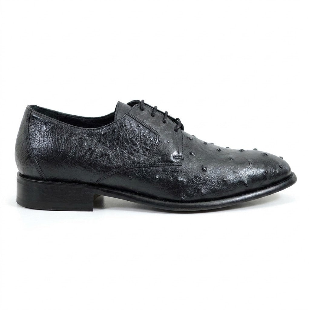 Black Calzoleria Toscana Toscana 3414 ostrich leather lace-up shoes with detailed stitching and sleek design.