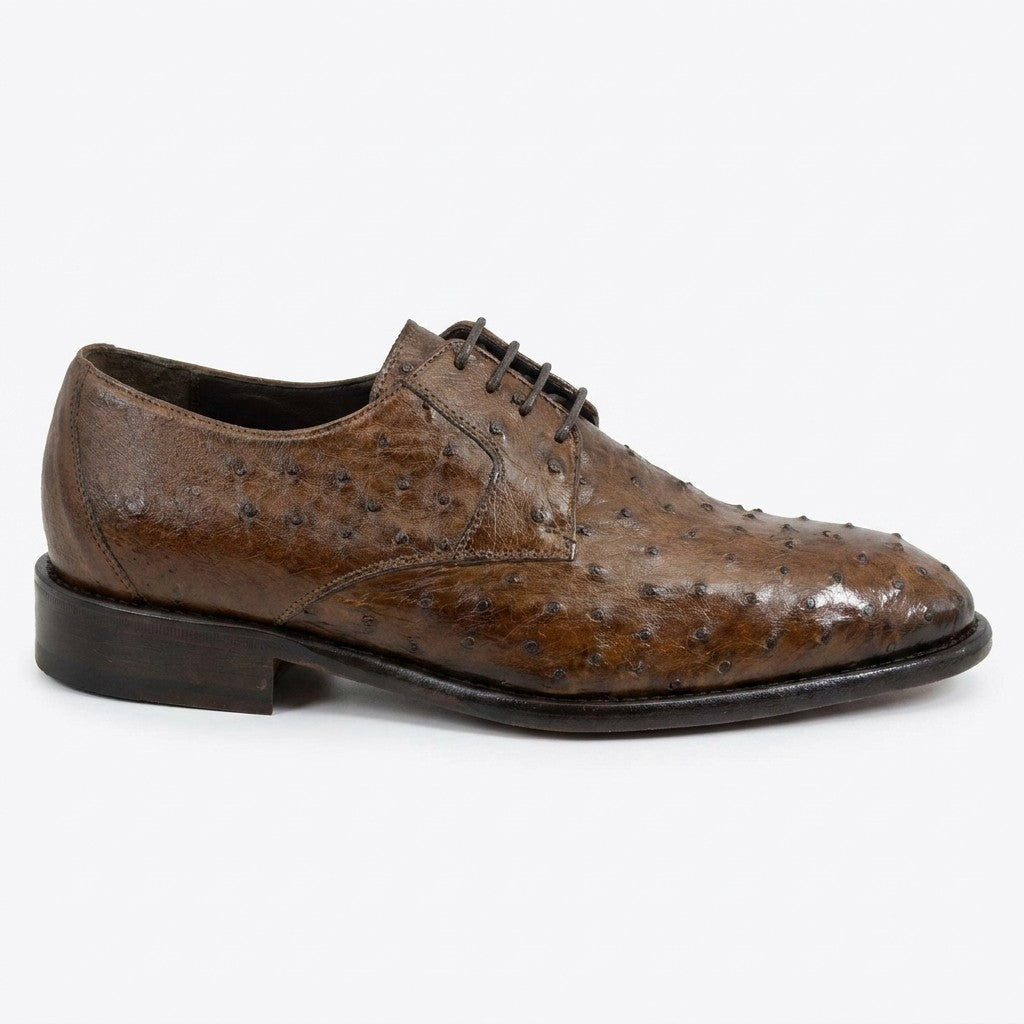 Calzoleria Toscana Toscana 3414 brown ostrich leather lace-up shoes showing detailed stitching and polished finish.